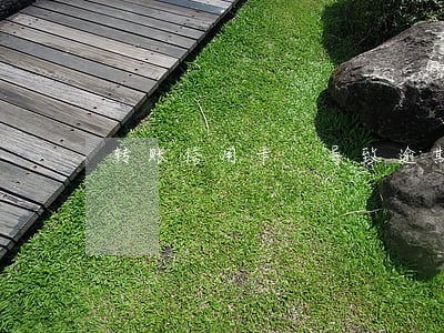 转账信用卡 导致逾期 转账信用卡 导致逾期
